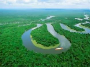 Φωτογραφία για Ανησυχητικά τα στοιχεία για τον Αμαζόνιο