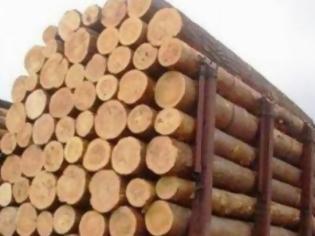 Φωτογραφία για Μετέφερε παράνομα 4,5 τόνους ξύλα