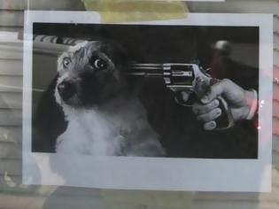 Φωτογραφία για Καταστηματάρχης προειδοποιεί με αφίσα ότι θα σκοτώσει σκυλιά!