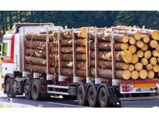 Φωτογραφία για Αιτωλοκαρνανία: Κατασχέθηκαν δέκα τόνοι λαθραίας ξυλείας