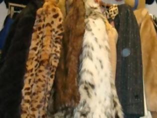 Φωτογραφία για Σημαντική αύξηση των εξαγωγών γούνας στην Καστοριά