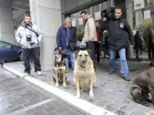 Φωτογραφία για Πλεόνασμα υπομονής...!!!