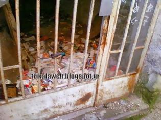 Φωτογραφία για Τι βρωμιά απο σκουπίδια στα Τρίκαλα