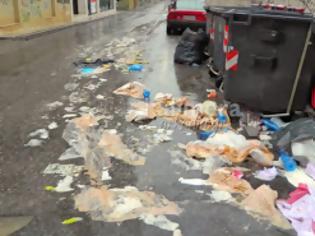 Φωτογραφία για Η βροχή έβγαλε …βόλτα τα σκουπίδια στην οδό «Αρβάλη» στην Τρίπολη [Video]