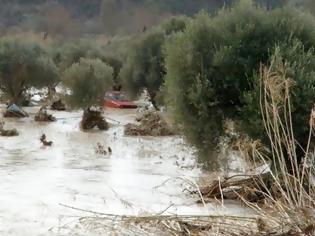 Φωτογραφία για Κατεπείγουσα εισαγγελική έρευνα για τις φονικές πλημμύρες στη Ρόδο – Χωρίς αποτέλεσμα οι μέχρι τώρα έρευνες για τον 53χρονο καθηγητή που αγνοείται