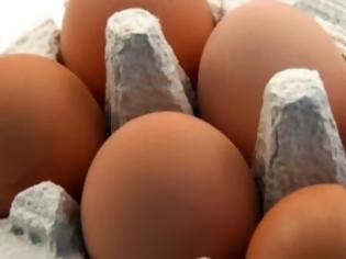 Φωτογραφία για Σαλμονέλα σε μονάδα παραγωγής αυγών στην Πάφο