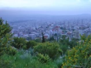 Φωτογραφία για Μέτρα κατά της παράνομης υλοτομίας στο όρος Αιγάλεω