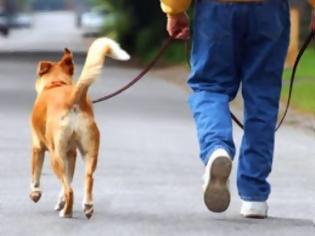 Φωτογραφία για Παράλυτος σκύλος περπάτησε ξανά