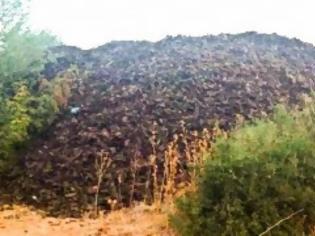 Φωτογραφία για Ξηρόμερο: Φόβοι από τους 400 τόνους ελαστικών σε χωράφι