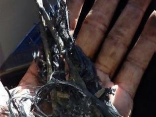 Φωτογραφία για H συγκλονιστική φωτογραφία με ότι απέμεινε από τον Paul Walker [photos]