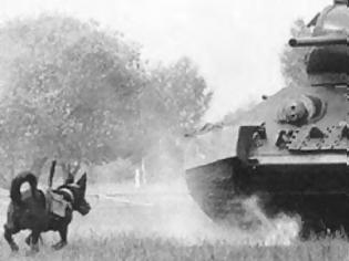 Φωτογραφία για Σκύλοι-καμικάζι στην υπηρεσία του Στρατού -Η εκπαίδευση και ο ρόλος τους στις μάχες του Β' Παγκόσμιου Πολέμου