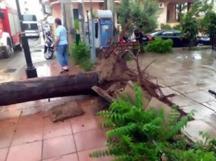 Φωτογραφία για Προβλήματα εξαιτίας των ισχυρών ανέμων