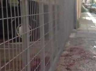 Φωτογραφία για Πάτρα: To βίντεο της διπλής δολοφονίας στη Σαχτούρη τρομάζει την ΕΛ.ΑΣ. - Τι λέει υψηλόβαθμος αξιωματικός