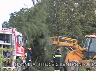 Φωτογραφία για Ιωάννινα: Οι ισχυροί άνεμοι ξερίζωσαν δέντρα [video]
