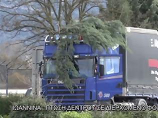 Φωτογραφία για Ιωάννινα: Δέντρο έπεσε σε διερχόμενο φορτηγό! Τυχερός μέσα στην ατυχία του ο οδηγός! [video]