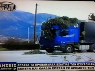 Φωτογραφία για Γιάννενα: Δέντρο έπεσε πάνω σε φορτηγό