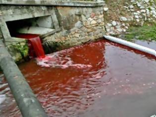 Φωτογραφία για Ποτάμι κατακόκκινο γεμάτο αίμα