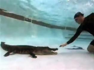 Φωτογραφία για Παρέα με έναν αλιγάτορα [Video]