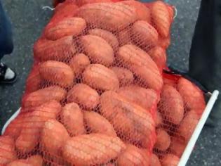 Φωτογραφία για Ρουμάνοι ρήμαζαν τις πατάτες στον Άραξο... έκλεψαν 4 τόνους!