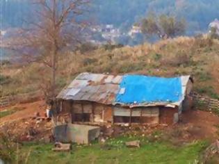 Φωτογραφία για Καταδικάστηκαν οι αλλοδαποί που διέρρηξαν στάβλο στην Αμαλιάδα