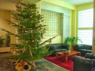 Φωτογραφία για Ξάνθη: Τι φαντάζεστε πως έκαναν στο δημαρχείο για να χωρέσει το Χριστουγεννιάτικο δέντρο;