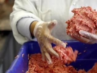 Φωτογραφία για Νέο σκάνδαλο με παράνομη διακίνηση κρέατος αλόγων στη Γαλλία