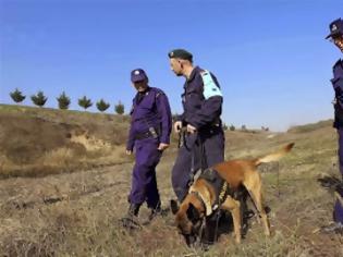 Φωτογραφία για Ένωση Συνοριακών Φυλάκων Έβρου: Καταγγελία για την έλλειψη αυτοκινήτων στον Έβρο