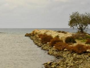 Φωτογραφία για Ηλεία: Ψάρευε παράνομα στη λιμνοθάλασσα Κοτυχίου