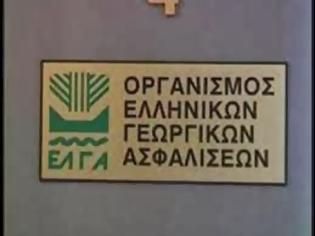 Φωτογραφία για Διαμαρτυρία του Αγροτικού Συλλόγου του Δήμου Αλεξάνδρειας στον ΕΛΓΑ Βέροιας για τις καθυστερήσεις στις αποζημιώσεις