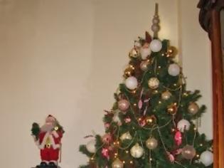 Φωτογραφία για Η ιστορία του χριστουγεννιάτικου δέντρου