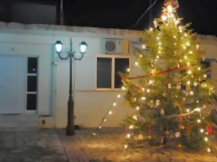Φωτογραφία για Στόλισαν το Χριστουγεννιάτικο δένδρο τα παιδιά του Νηπιαγωγείου και του δημοτικού σχολείου στη πλατεία του Τρικόρφου