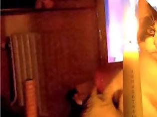 Φωτογραφία για Γιατί οι γάτες δεν αγαπούν τα Χριστούγεννα; Δείτε το απολαυστικό βίντεο!