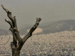 Φωτογραφία για Η φτώχεια στον αέρα: Οδυνηρές οι επιπτώσεις της κρίσης στην Ελλάδα. Η αιθαλομίχλη προκαλεί ακόμα και καρκινογένεση