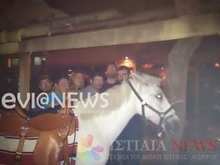Φωτογραφία για Βόρεια Εύβοια: Άλογο πήγε σε μπαράκι και έκανε ρεβεγιόν!