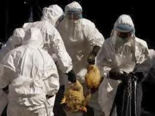 Φωτογραφία για Χονγκ Κονγκ: Νεκρός 80χρονος από τον ιό H7N9 της γρίπης των πτηνών