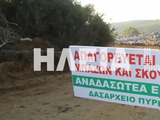 Φωτογραφία για Κάτοικοι και Δασαρχείο απέναντι στο δήμο Πύργου για το Φραγκαπήδημα