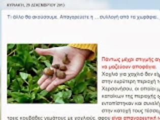 Φωτογραφία για Μάθετε το blog alfazita