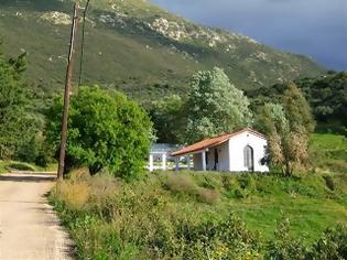 Φωτογραφία για Θύμα… του ΟΟΣΑ και το μεσσηνιακό ελαιόλαδο