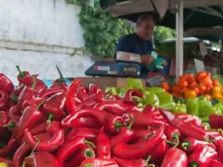 Φωτογραφία για Τι ορίζει για τα Farmers Markets το πολυνομοσχέδιο του ΥπΑΑΤ που κατατέθηκε στη Βουλή