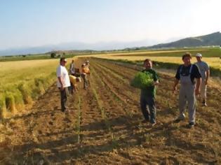 Φωτογραφία για Απαλλαγή των αγροτών από τήρηση βιβλίων για έσοδα έως 10.000 ευρώ