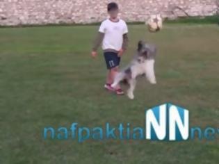 Φωτογραφία για Ναύπακτος: Scooby το σκυλάκι που παίζει ποδόσφαιρο… [video]
