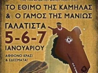 Φωτογραφία για Το έθιμο της Καμήλας - Γαλάτιστα Χαλκιδικής