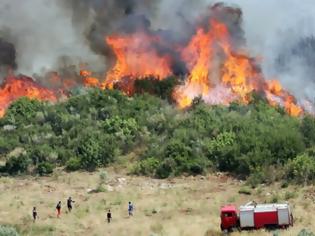 Φωτογραφία για «Τώρα χάλασαν και οι υπολογιστές» στο σκάνδαλο των 102 εκατ. του Ειδικού Φορέα Δασών