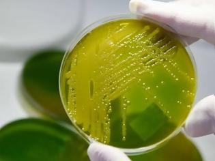 Φωτογραφία για Επικίνδυνο βακτήριο εντοπίστηκε στη Γαλλία
