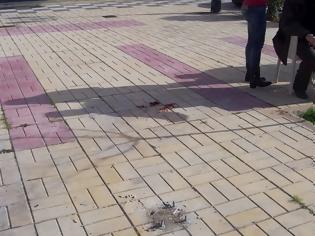 Φωτογραφία για Σοβαρός τραυματισμός δημότη στην εγκαταλελημένη πλατεία της Παλλήνης - Η προχειρότητα και η ανευθυνότητα της Δημοτικής Αρχής σε όλο της το μεγαλείο…