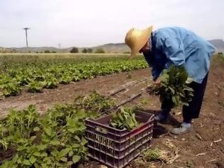 Φωτογραφία για Ηλεία: Ξεσηκώνονται οι αγρότες για την τήρηση βιβλίου εσόδων - εξόδων - «Θα μας βρουν μπροστά τους…»