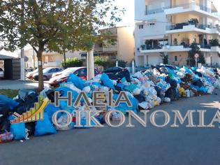 Φωτογραφία για Σύλληψη 6 ατόμων για σύσταση εγκληματικής οργάνωσης για υποβάθμιση του Περιβάλλοντος στην Ηλεία