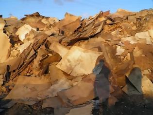 Φωτογραφία για Τόνους αποβλήτων ξυλείας κατέσχεσαν οι «Ράμπο» του περιβάλλοντος
