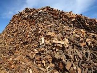 Φωτογραφία για Κατέσχεσαν 5.800 τόνους ξύλα - δηλητήριο