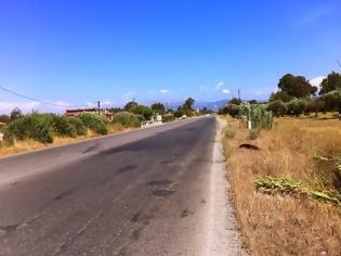 Φωτογραφία για Κίνδυνος θάνατος η αφισοκόληση στην Πατρών Πύργου - Άγνωστοι κάλυψαν με αφίσες ακόμη και τα φανάρια του Αλισσού!